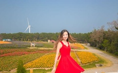 幸福宝丝瓜向日葵